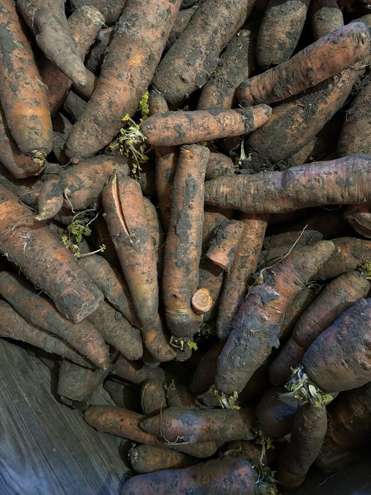 Maechew odpadowa brudna