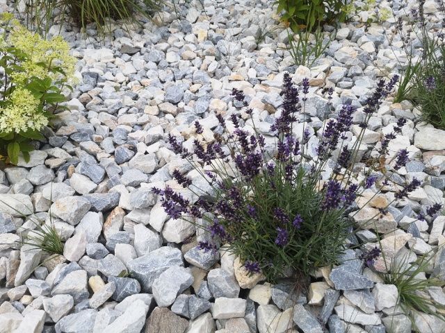 Grys dolomit Biała Marianna biały kamień naturalny z dostawą +głaz