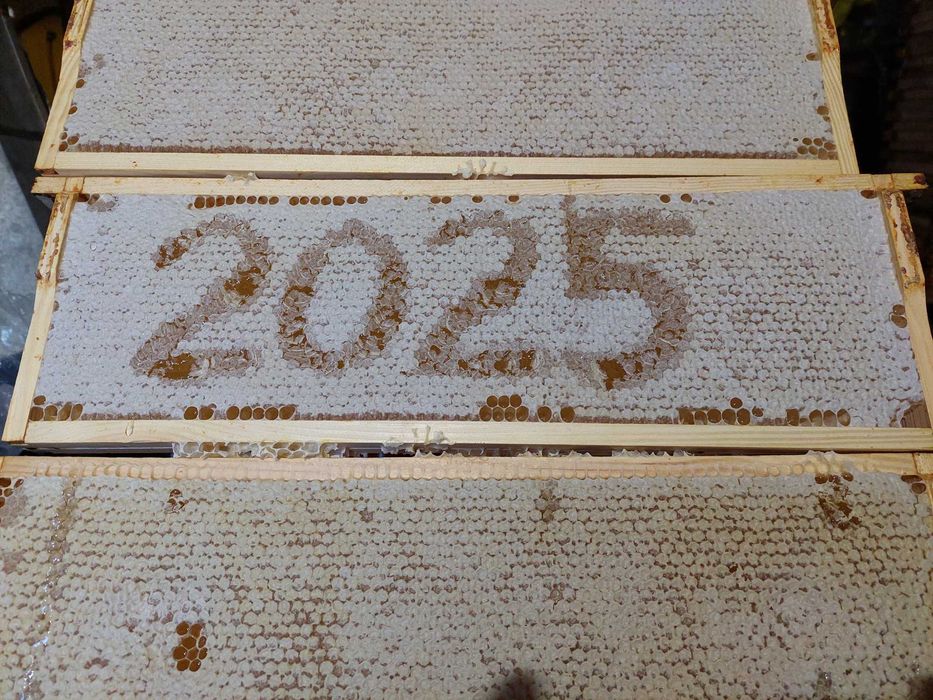 Miód z Polskiej pasieki, zbiór 2025