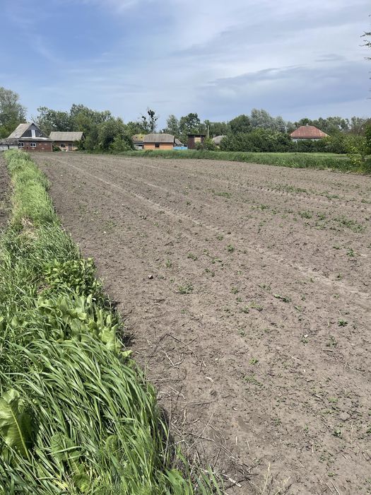 Земельна ділянка