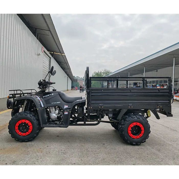 Квадроцикл вантажний FORTE ATV-250BS-T