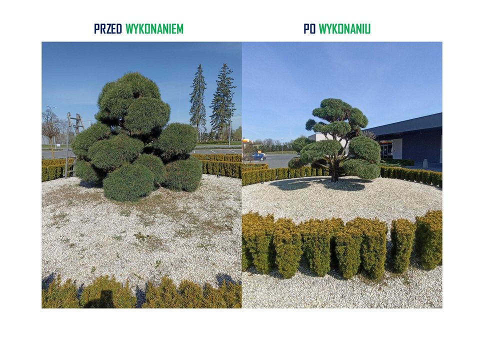 Zakładanie i pielęgnacja ogrodów