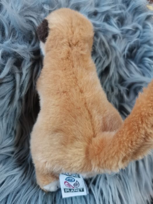 Surykatka śliczna maskotka Nature Planet meerkat