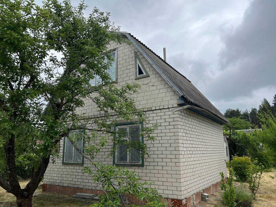 Продаж дачі в с. Будище кооператив Дружба