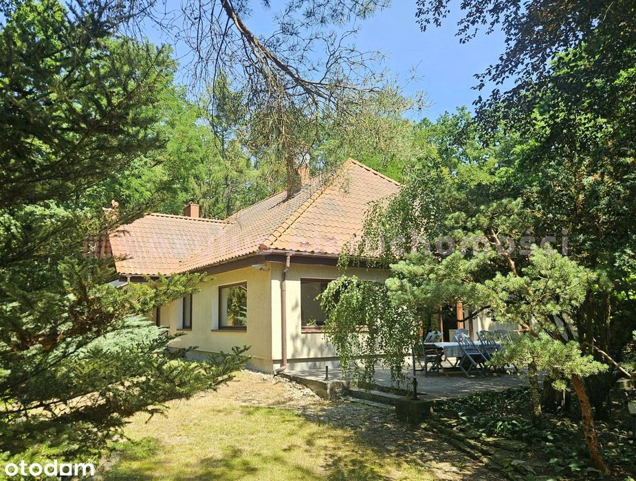 Zdjęcie 2