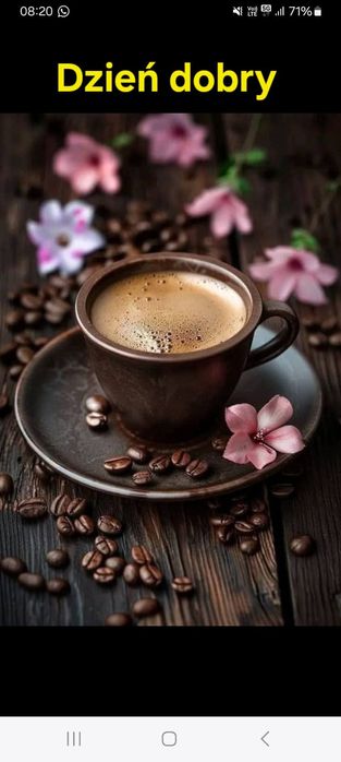 Dieta, program żywieniowy