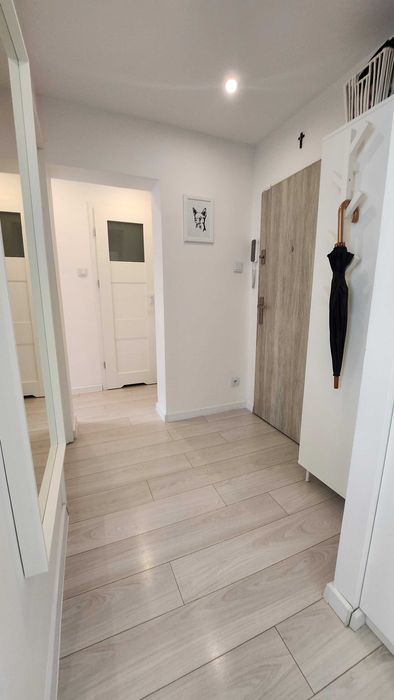 TOP OFERTA | 2 pokoje po remoncie | Os. Młodych  |  Świdnica