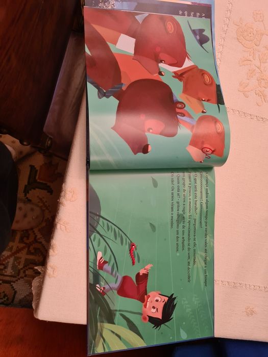 Livro personalizado64286865723523124