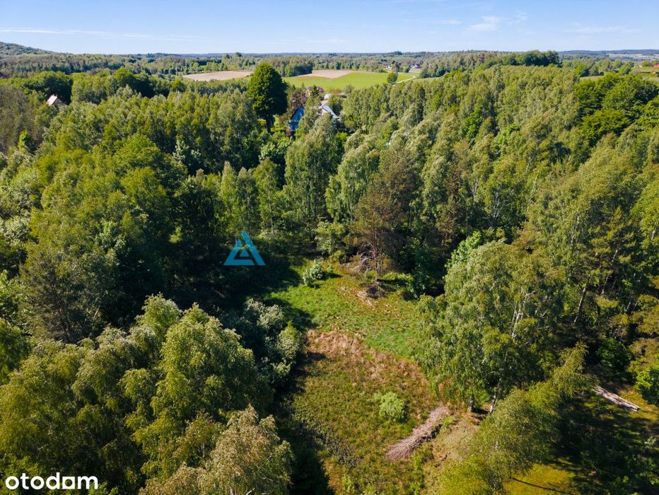 Działka w otulinie lasów! - Więcej
