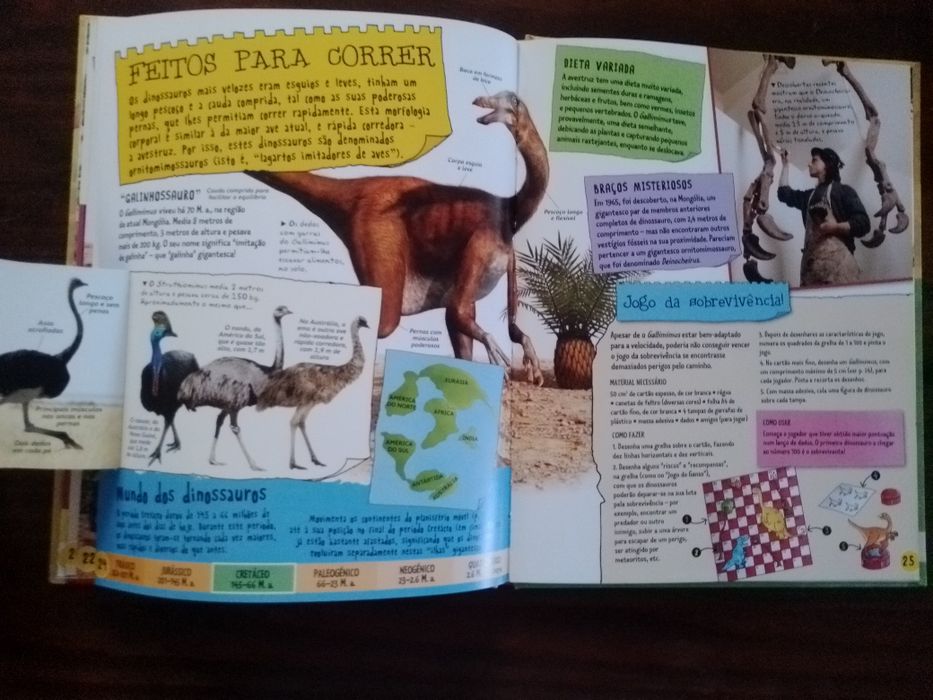 Livros didáticos infantis