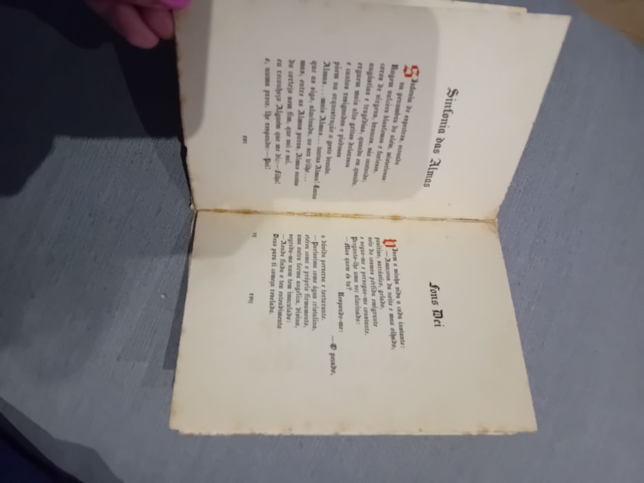 Livro d' horas - Félix Horta