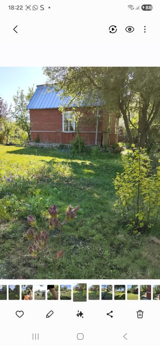 Ogród działkowy ekologiczny 375m Białystok - Widok 6