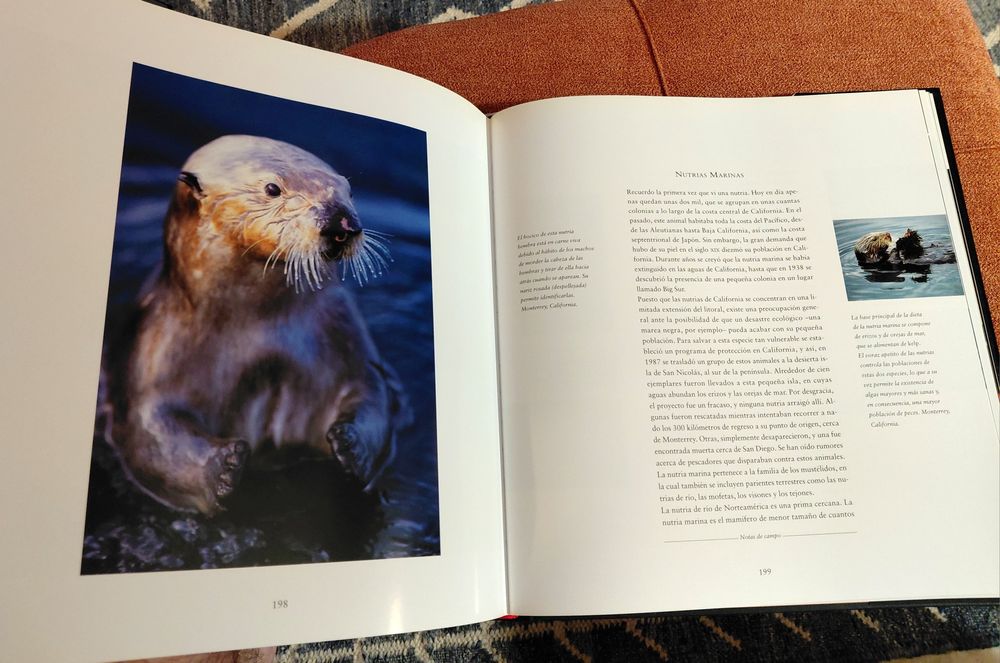 Livro Tesoros del Mar - Norbert Wu