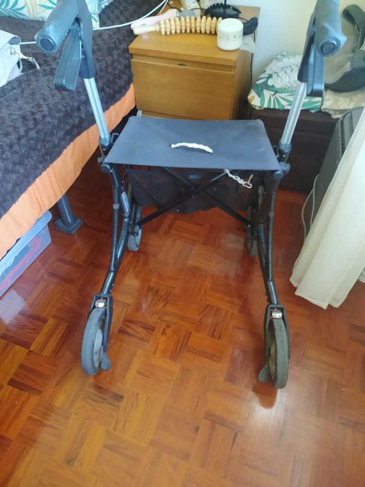 Andarilho  ( Em excelente estado )