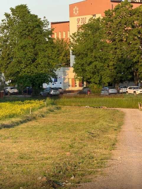 Działka do wynajęcia