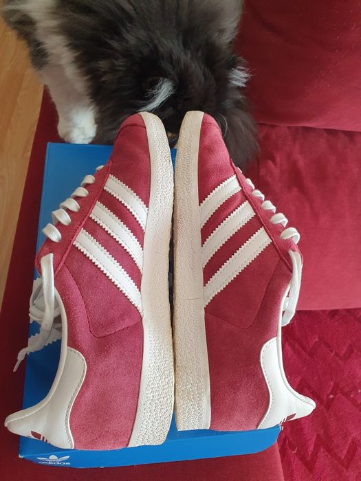 Adidas Gazelle cor de vinho