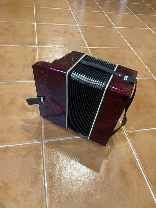 Concertina Finotti