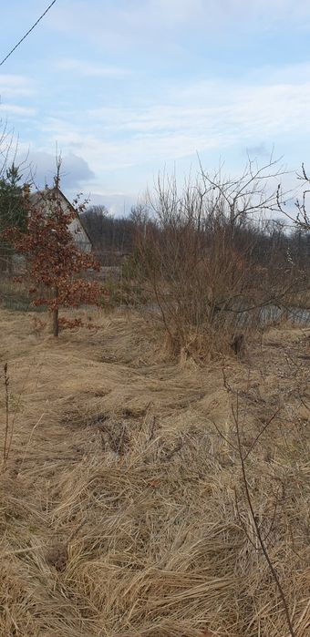 Продаж земельної ділянки біля лісу, с. Перлявка