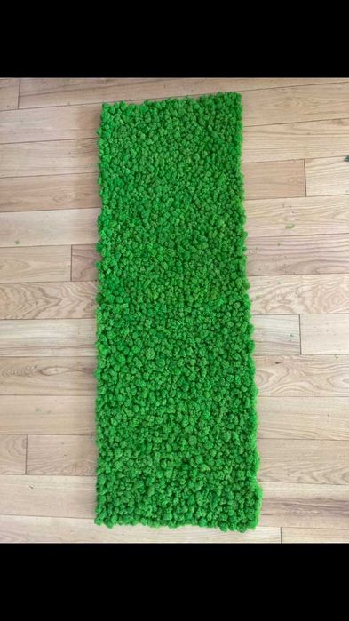 Panele z Mchu Chrobotka panel z Mech Chrobotek