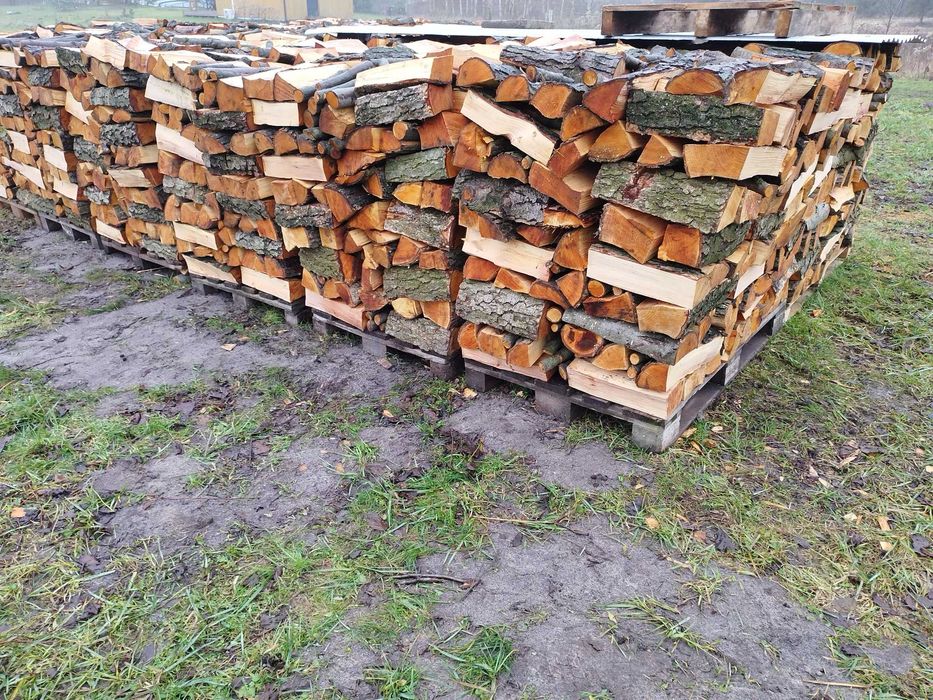 Drewno kominkowe opałowe Olszyna Olcha