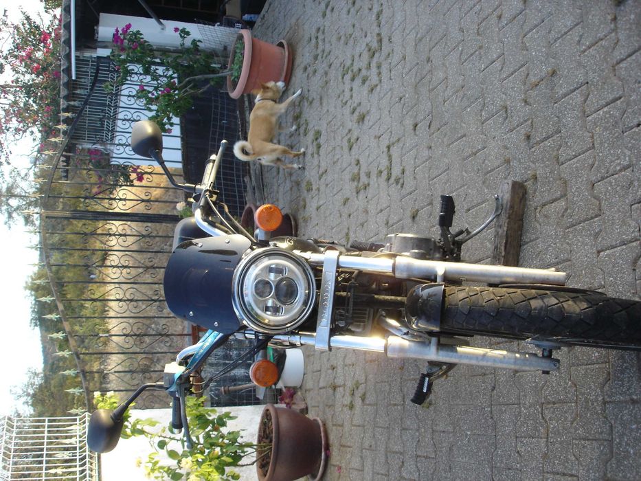 mota cmx 250 REBEL