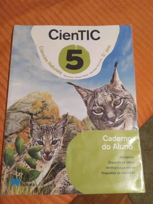 Cadernos de atividades de quinto ano