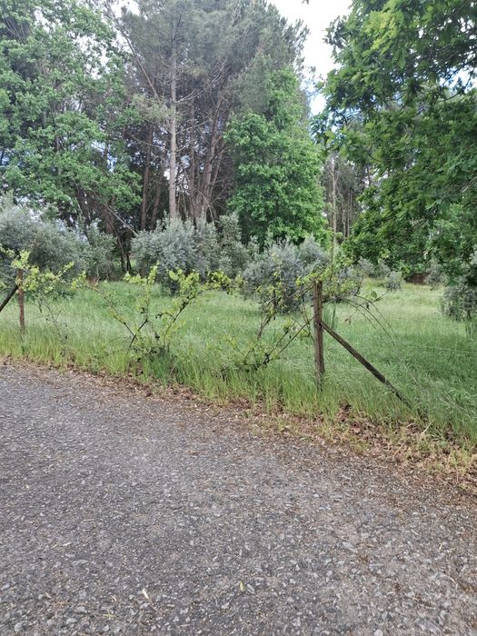 Terrenos para venda