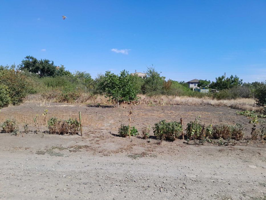 Земельна ділянка 0,12 га у садівничому товаристві "Портовик" (дача)