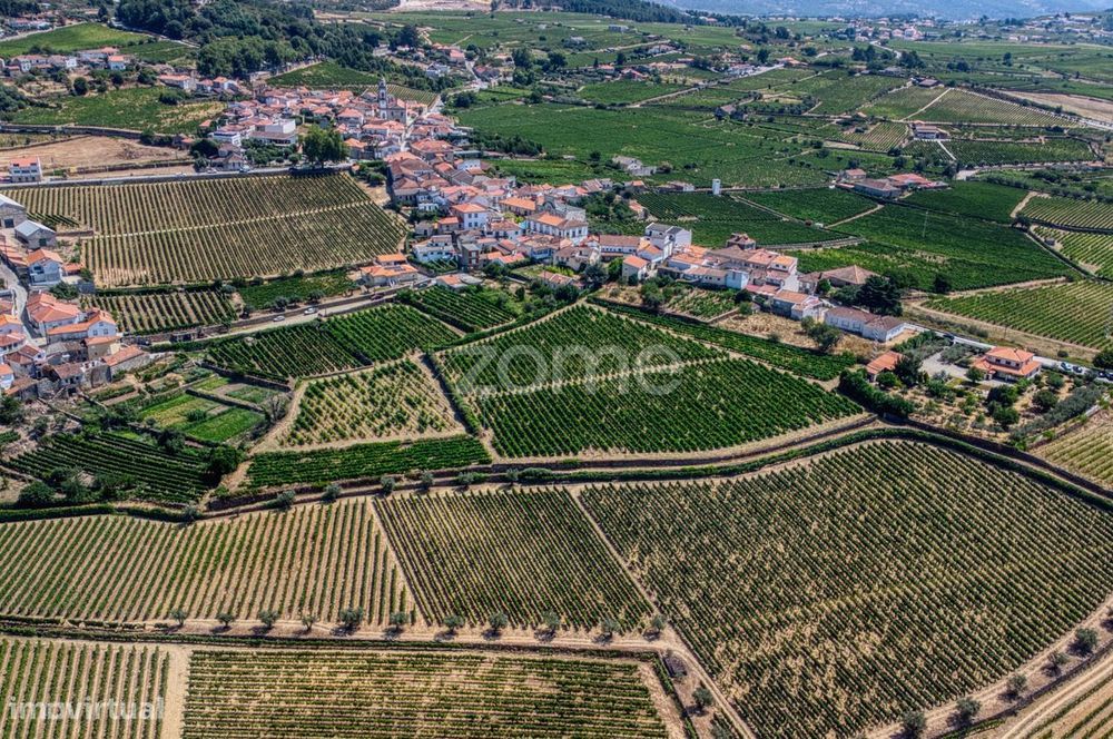 Moradia c/9 divisões, vinha e armazém em Lugar de São Gonçalo, Fava...
