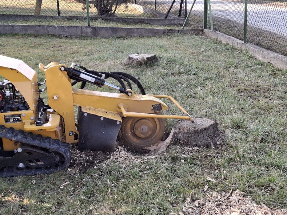 Frezowanie pni drzew