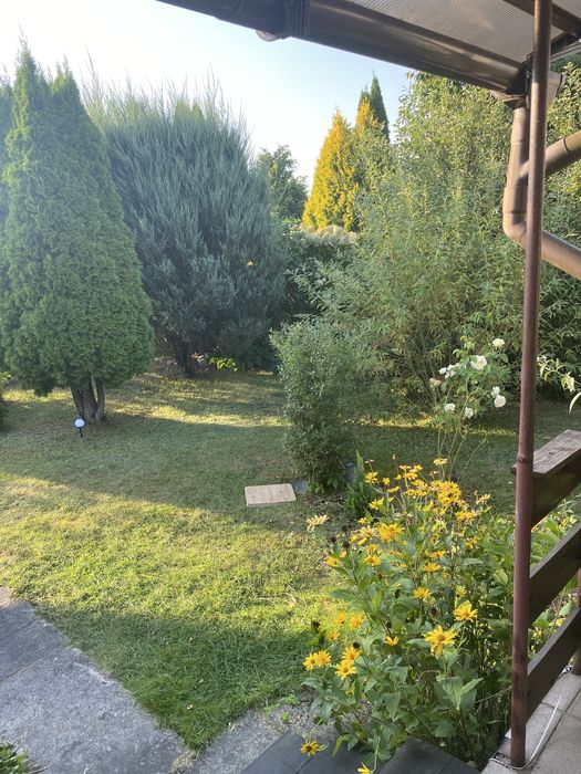 Na sprzedaż działka ROD w Jagodowie