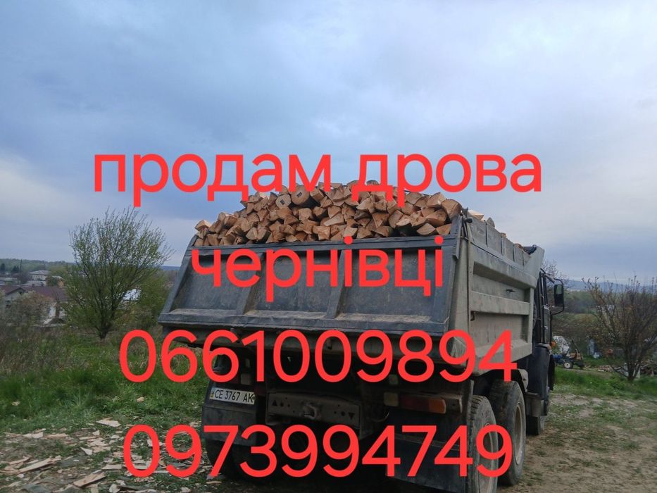 Дрова чернівці твердих порід влюбий час