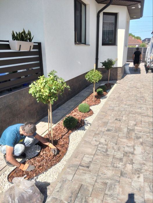 Садівник вирубка дерев лікування стрижка посадка рослин дизайн клумб