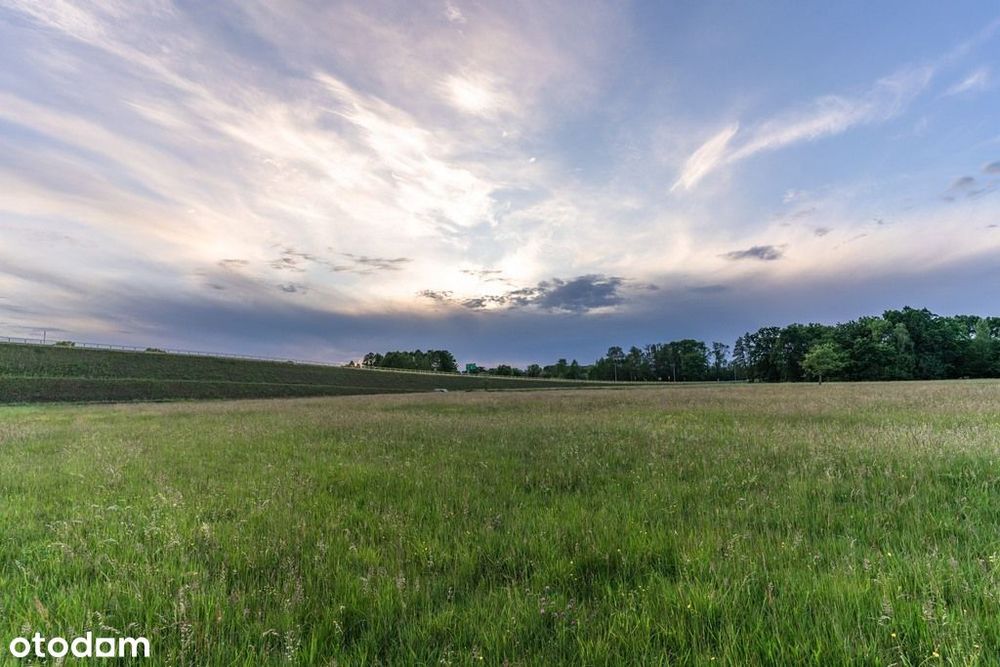 Działki inwestycyjne Nowy Tomyśl