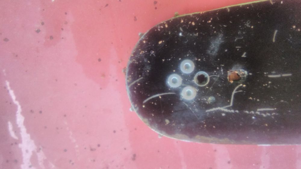 ,шина для бензопили  оригінал