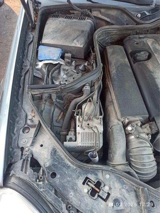 Продам живого W211