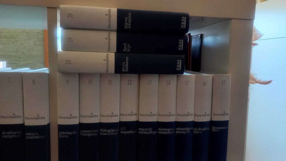 Enciclopédia 20 volumes Público
