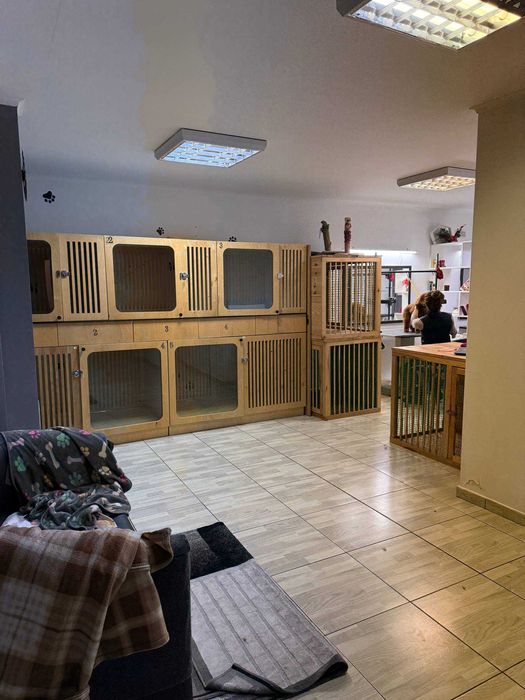 Бізнес Грумінг-салон, перетримка тварин