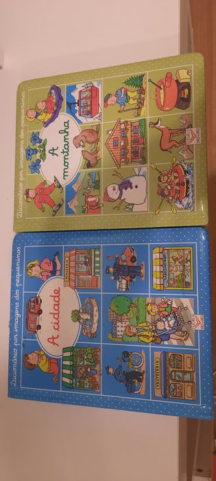 Lote Dicionários por imagens dos pequeninos