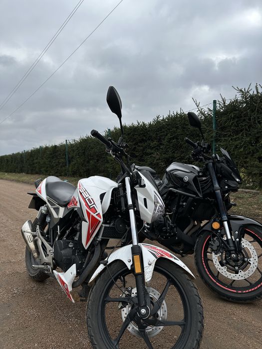 Geon pantera 250