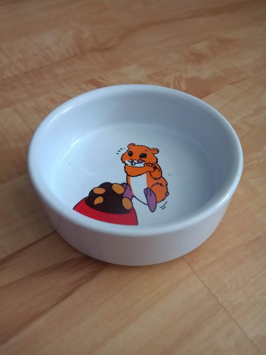 Miseczka dla. Chomika