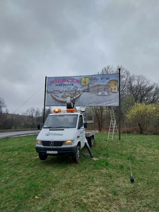 Wycinka/pielęgnacja drzew, mulczowanie zarośli przycinanie tuji i żywo