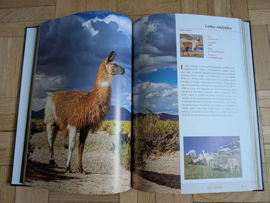 Świat zwierząt Studio Fenix