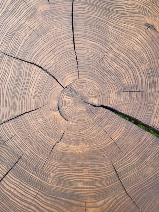 Klejonka dębowa, Stół dębowy lity ,blat dębowy, schody dębowe, jesion