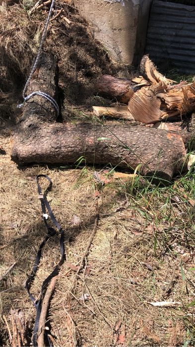 Limpeza terreno e corte arvores