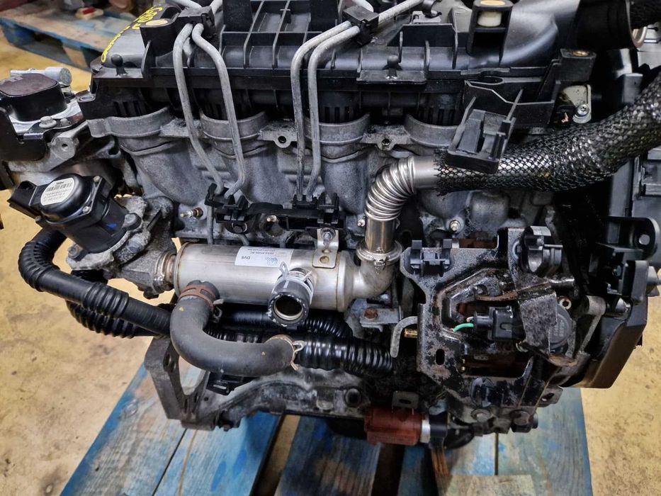 Motor usado G8DD FORD FOCUS II 1.6 TDCI 110CV Peugeot Citroen Volvo Mazda 216.000KM