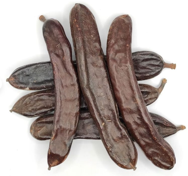 Venda de alfarroba de Paderne . 2 euros o kilo
