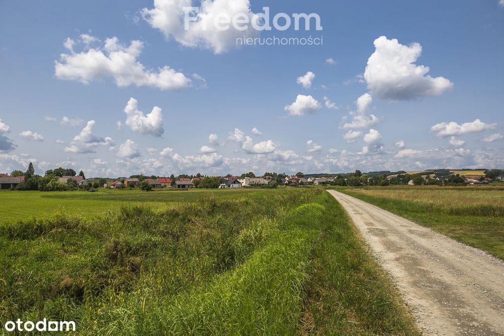 Działka 21,49 ar | Wz | blisko szkoła