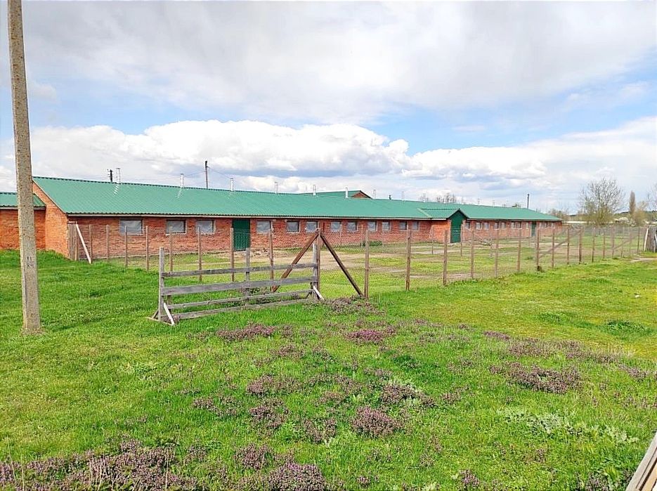 Продаж ферми. Траса Київ Рівне. Житомир. Можна під виробництво.