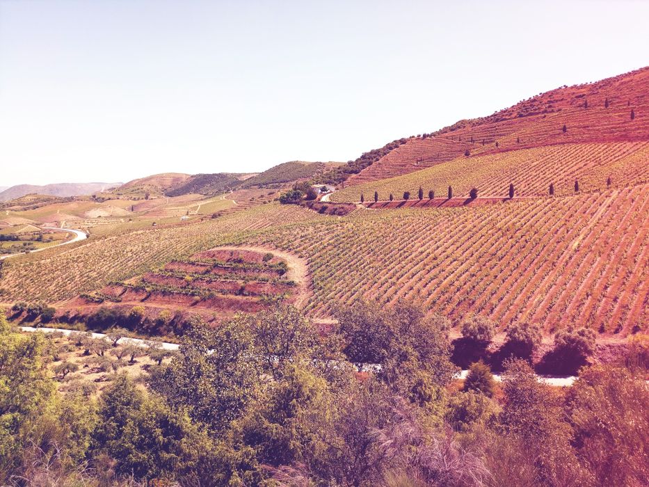 Quintinha com 3,2Ha - permuto